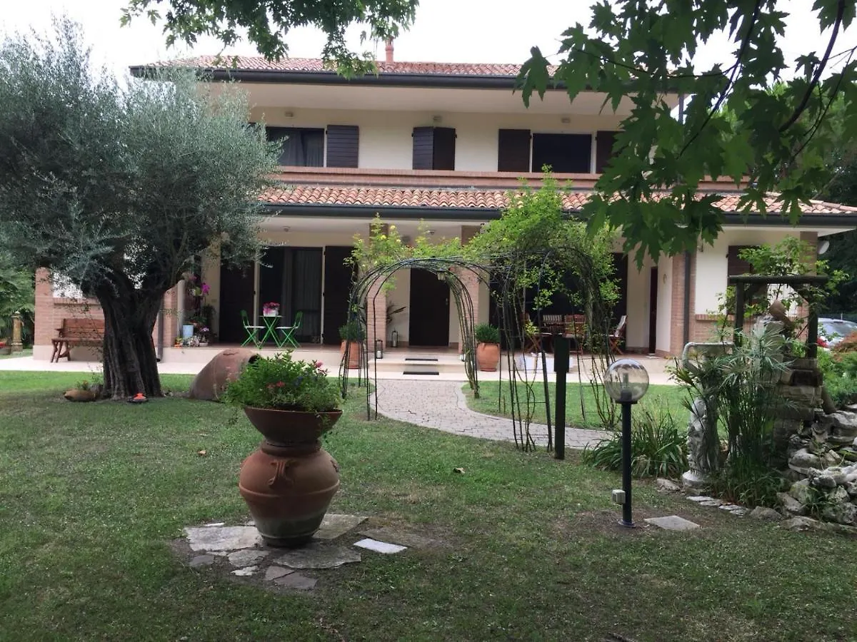 Picchio verde San Giuseppe